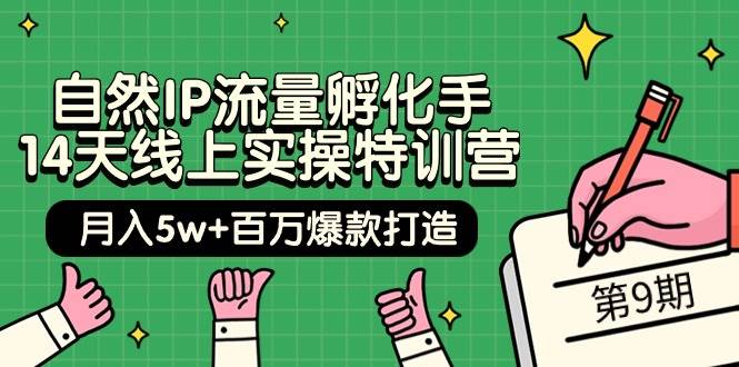 自然IP流量孵化手 14天线上实操特训营【第9期】月入5w+百万爆款打造 (74节)网创吧-网创项目资源站-副业项目-创业项目-搞钱项目v创吧
