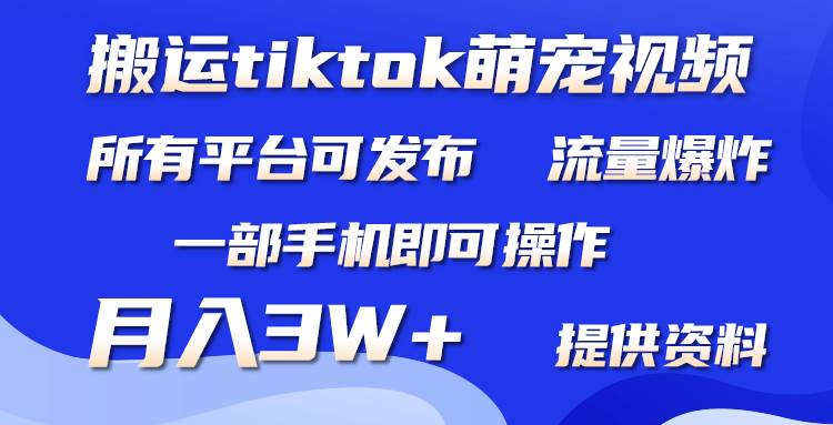 搬运Tiktok萌宠类视频，一部手机即可。所有短视频平台均可操作，月入3W+v创吧-网创项目资源站-副业项目-创业项目-搞钱项目v创吧